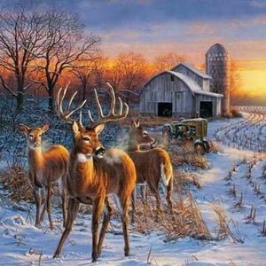 Meet your Posher, Nate